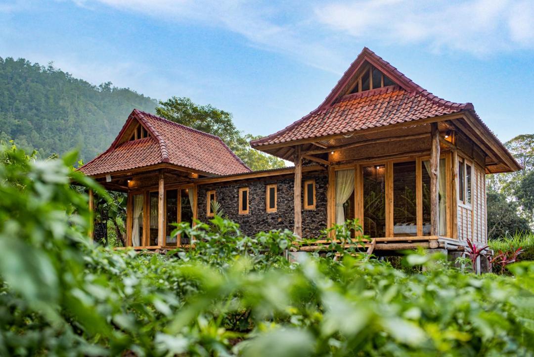 Pondok Manoka Kintamani  Ngoại thất bức ảnh