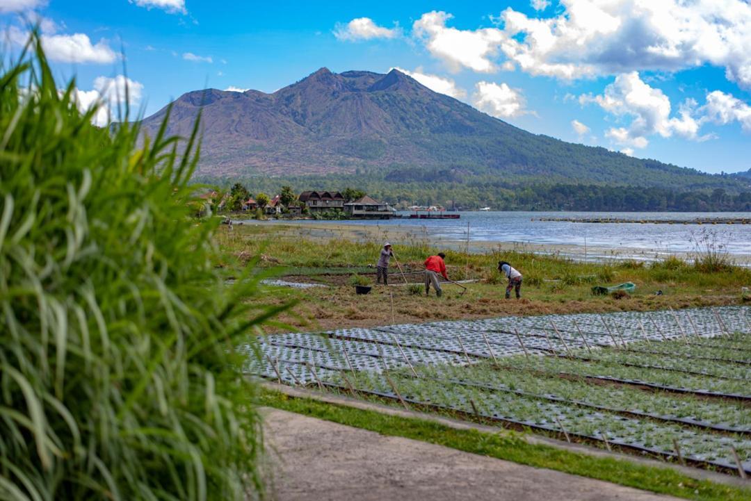 Pondok Manoka Kintamani  Ngoại thất bức ảnh