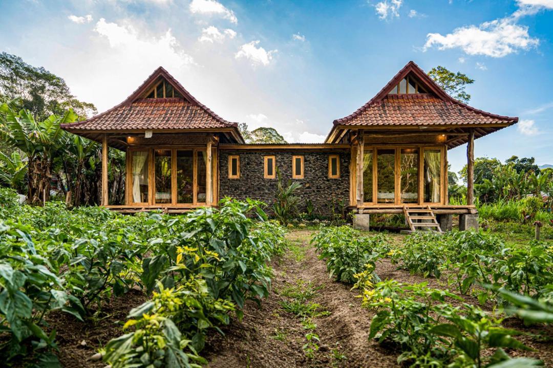 Pondok Manoka Kintamani  Ngoại thất bức ảnh