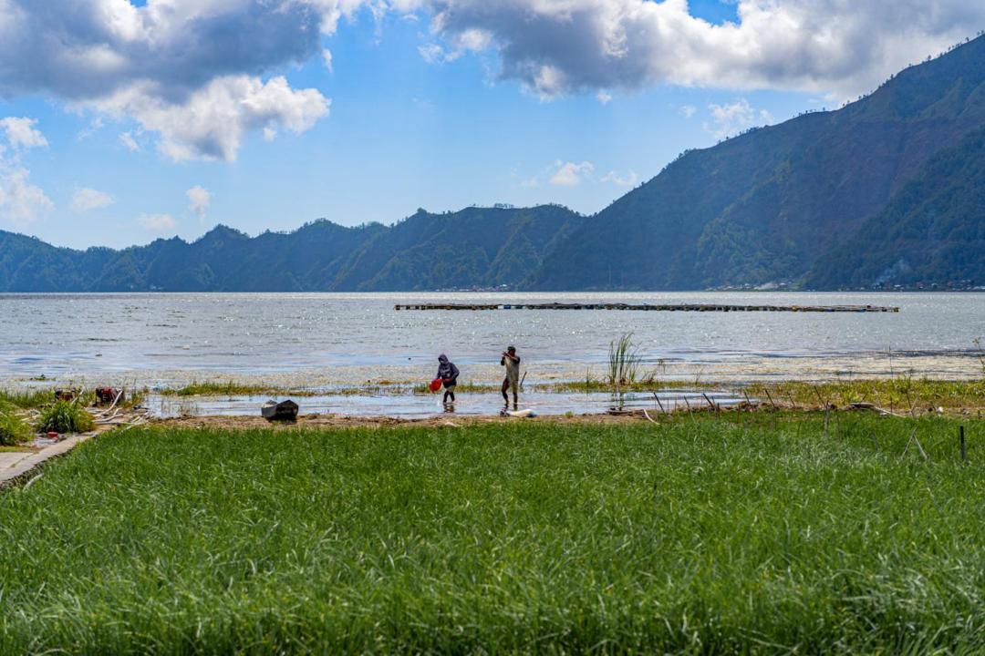 Pondok Manoka Kintamani  Ngoại thất bức ảnh