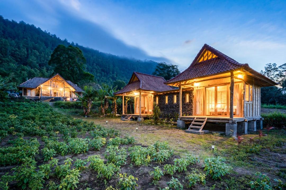 Pondok Manoka Kintamani  Ngoại thất bức ảnh